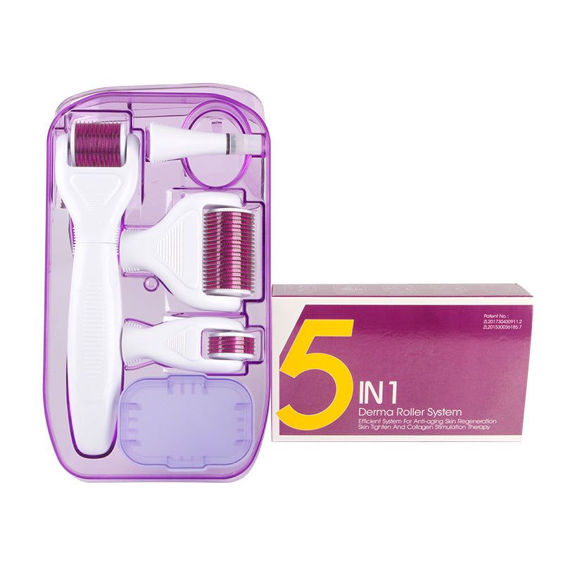 DermaKit 6-in-1 Derma Roller Kit Facial Microneedling Facial Skin Care
