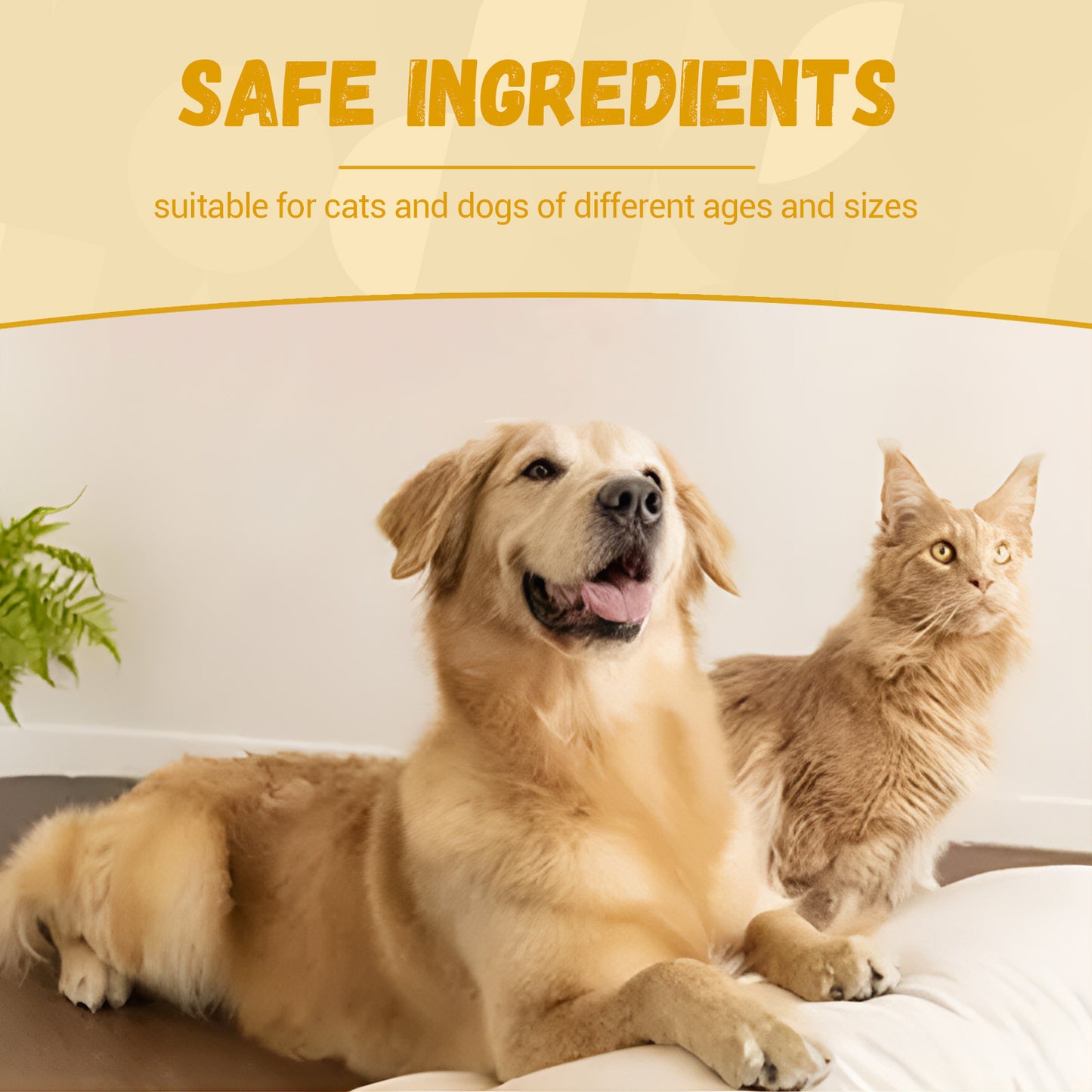 Pet Supplements