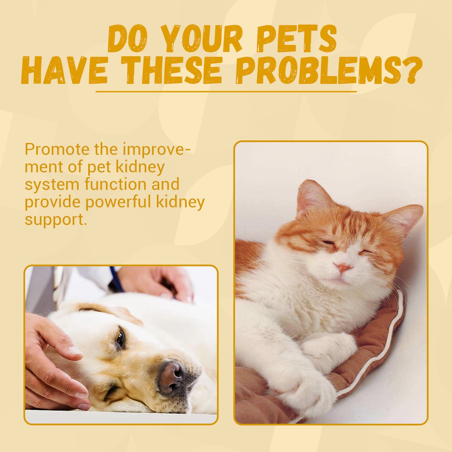 Pet Supplements