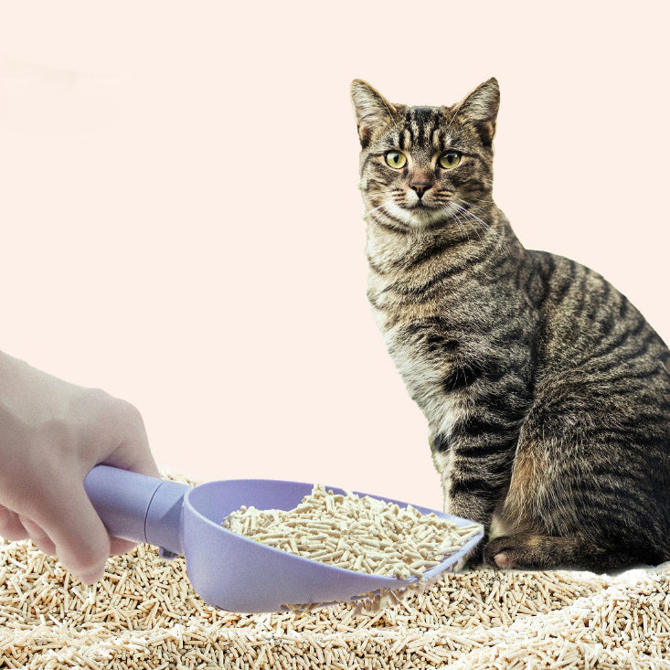 Cat Litter Scoop with Base