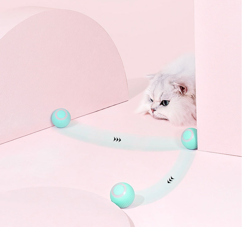 Cat Interactive Rolling Ball