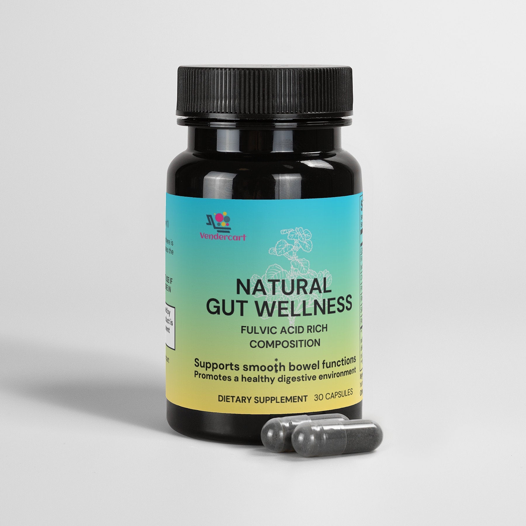 Natural Gut Wellness Capsules — Digestive & Gut Health Support.