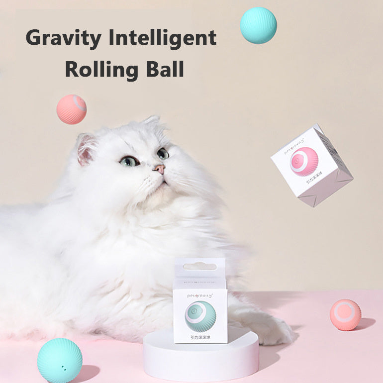 Cat Interactive Rolling Ball