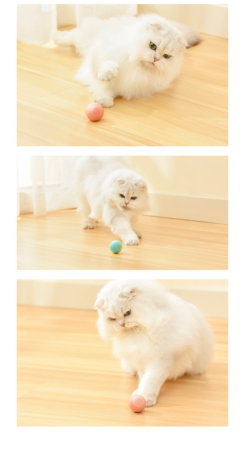 Cat Interactive Rolling Ball