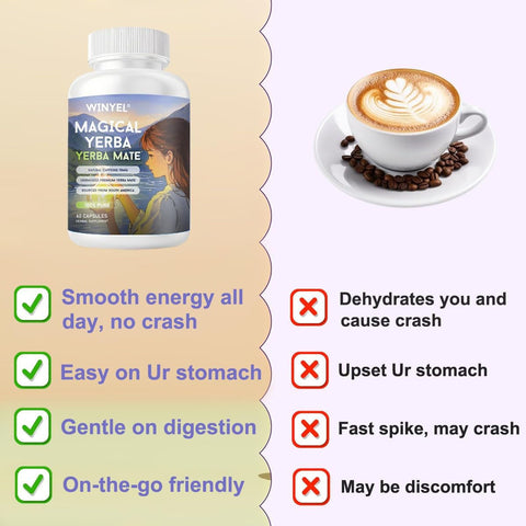 WINYEL Yerba Mate Capsules 75mg Natural Caffeine Per Capsule Natural Plant-Based Energy & Focus Support Supports Mental Clarity & Digestive Wellness Gut Health 60 Capsules