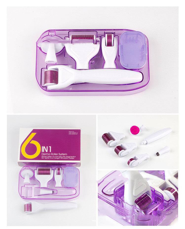 DermaKit 6-in-1 Derma Roller Kit Facial Microneedling Facial Skin Care