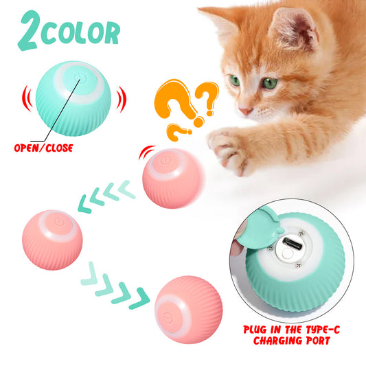 Cat Interactive Rolling Ball