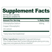 BSYS Moringa Capsules Antioxidant & Anti-Inflammatory Support Blood Sugar Health Aid Cholesterol Balance Formula Heart Wellness Support Immune Boost & Natural Defense