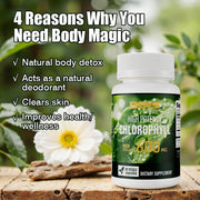 BSYS Chlorophyll Capsules  Fat Metabolism Support Aid Blood Purification & Detox Boost  Digestive Health & Constipation Relief Helper  Immune System Enhancement  Daily Detox & Wellness Supplemen