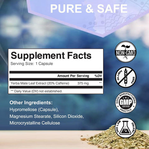WINYEL Yerba Mate Capsules 75mg Natural Caffeine Per Capsule Natural Plant-Based Energy & Focus Support Supports Mental Clarity & Digestive Wellness Gut Health 60 Capsules