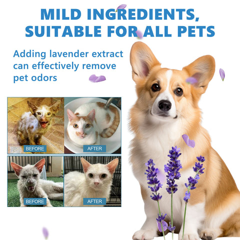Pet Wash Free Suit