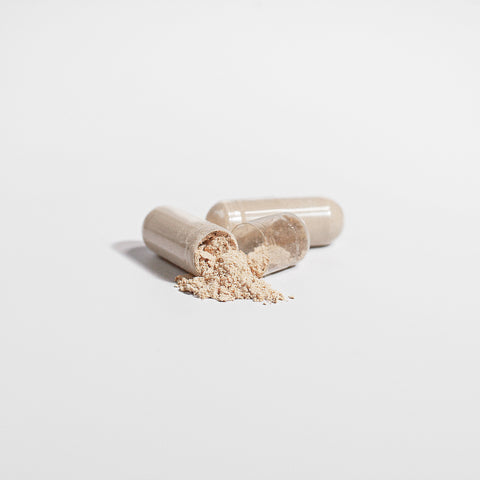 Premium Reishi Mushroom Immune Support, Stress Relief, And Overall Wellness